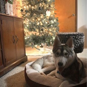 Meet your Posher, Madelyn